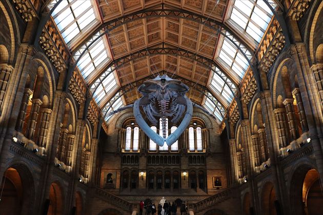 八十日間世界一周 Day23 リバプールからロンドンへの移動と観光 ロンドン科学博物館 ロンドン自然史博物館 ヴィクトリア アンド アルバート博物館など 世界一周ミュージアム紀行